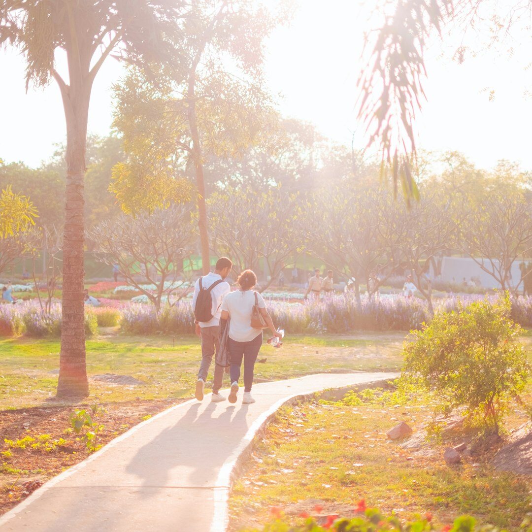 seniors walking in park