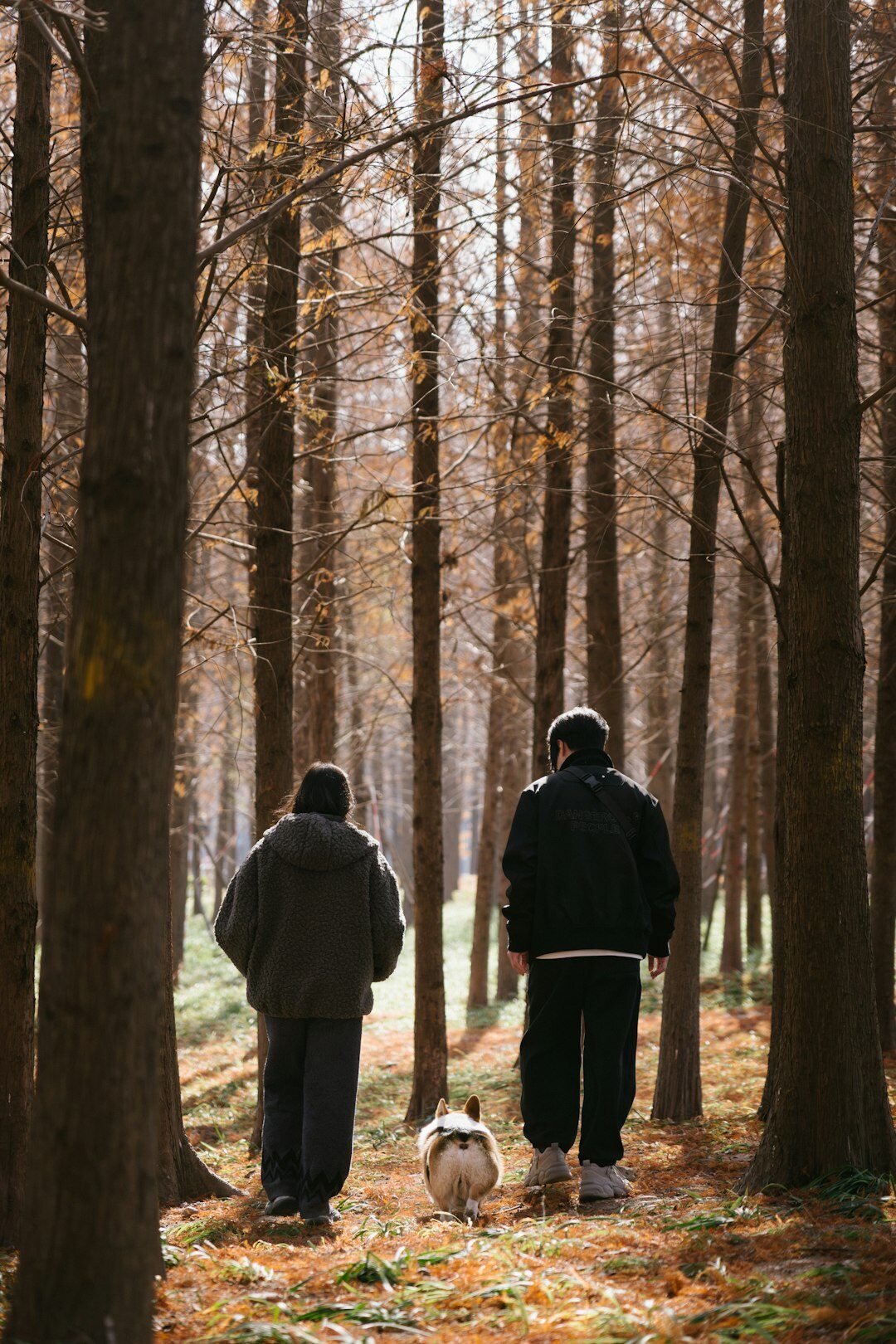 seniors on nature walk