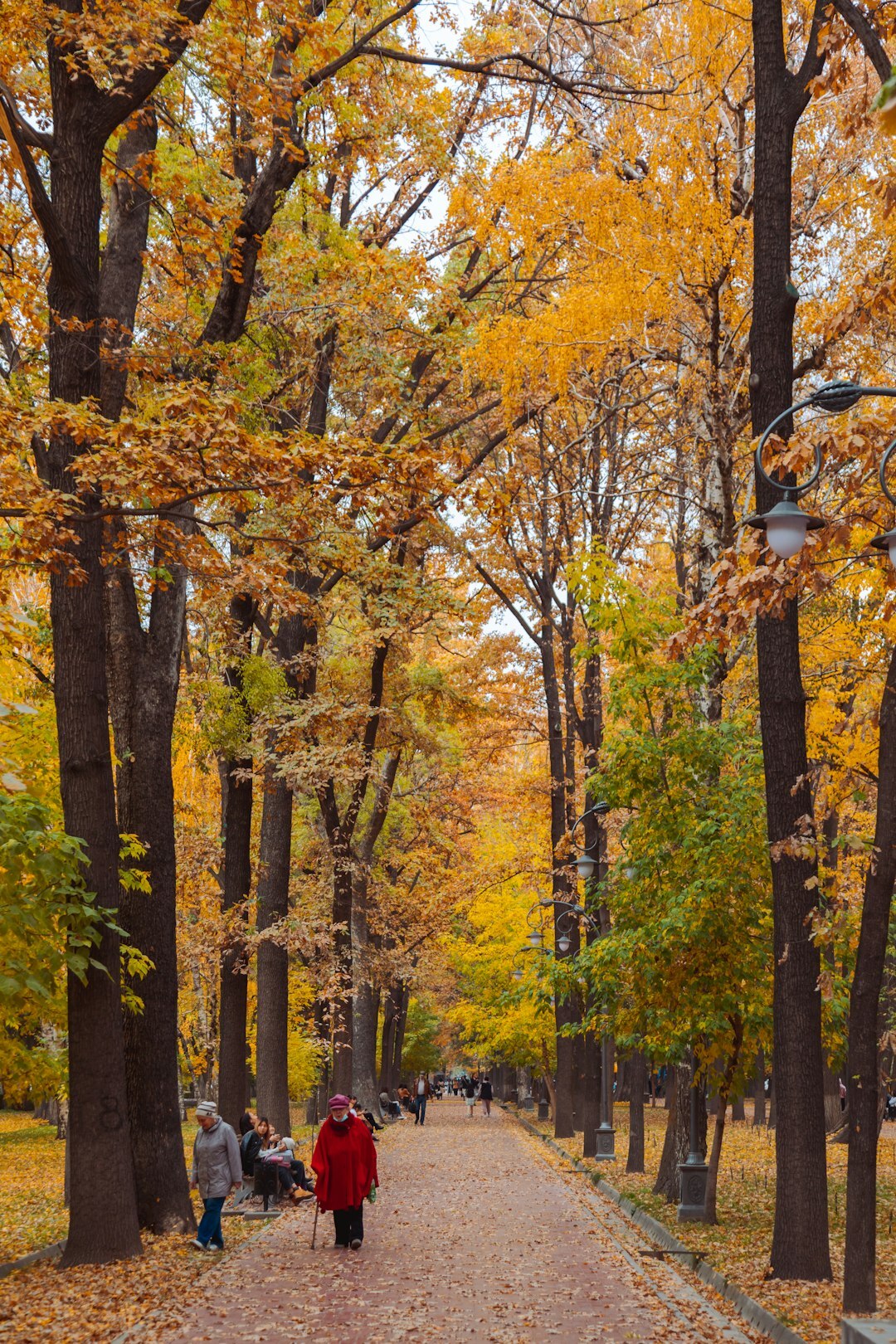 seniors walking in autumn park